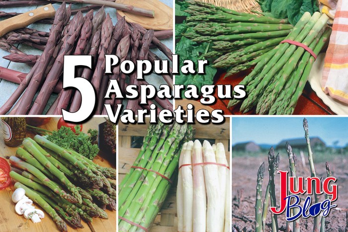 How to cook asparagus indian style