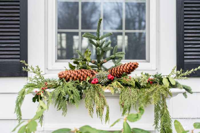 How to decorate window box for christmas